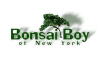 Bonsai Boy Of New York LOGO