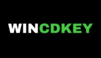Wincdkey LOGO