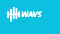 Wavs Custom LOGO