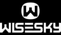 Wisesky LOGO